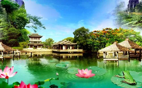 全自动高端